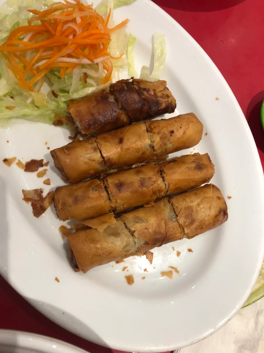 Vietnamese Spring Rolls