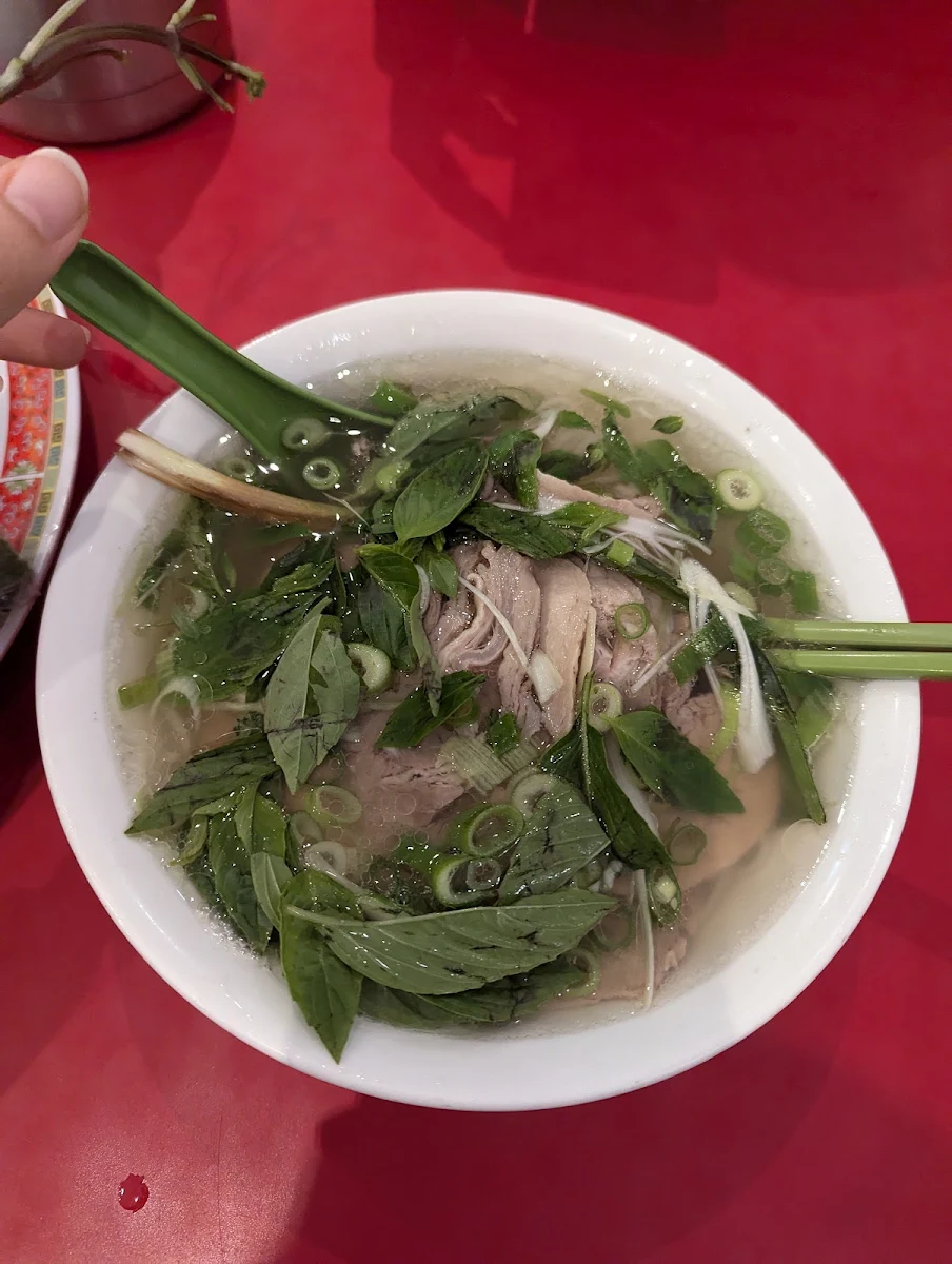 Well Done Beef and Brisket Pho DAC Biet