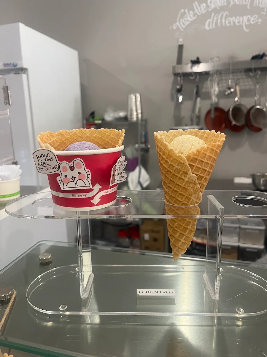 Ice Cream Cone