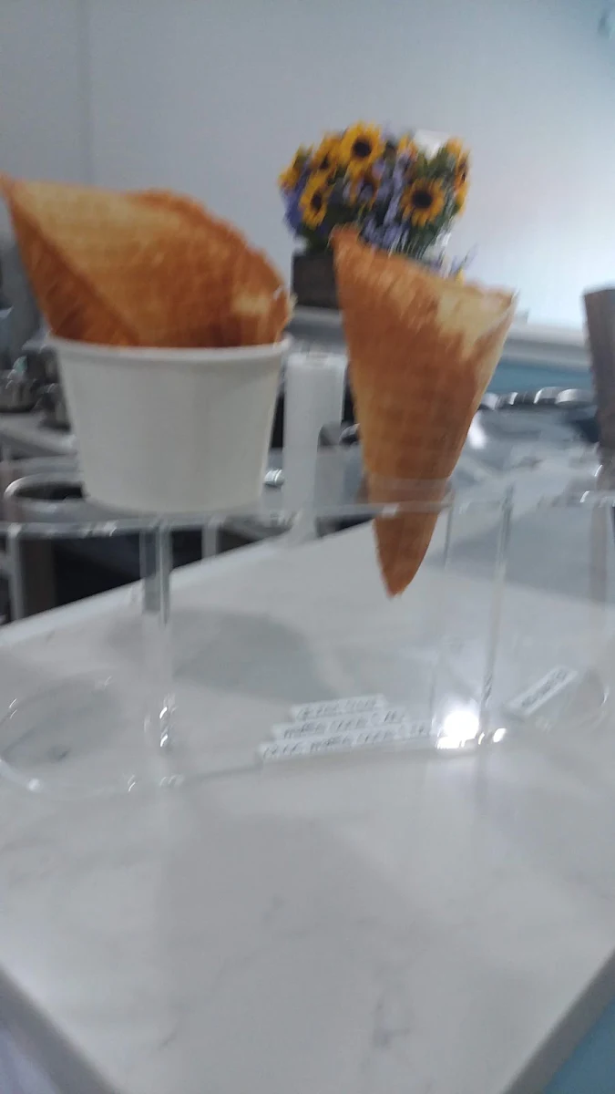 Waffle Cone or Cup
