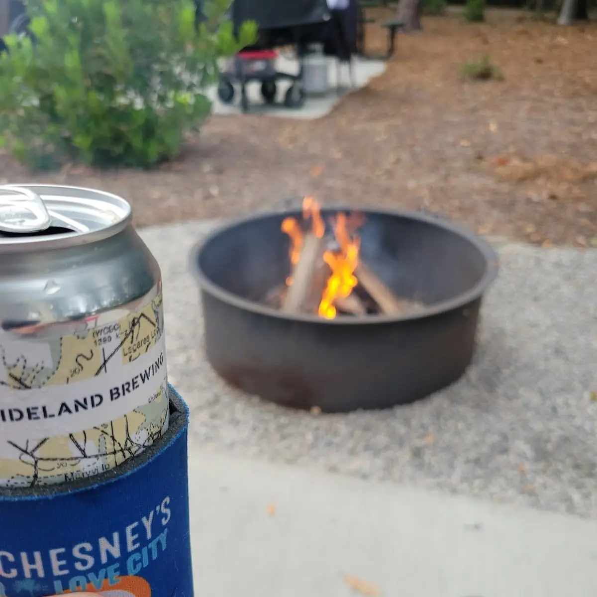 Cold Brew