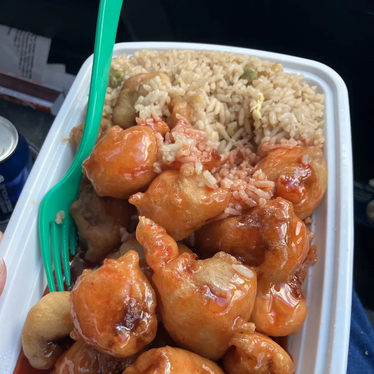 Shrimp & Chicken w Garlic Sauce