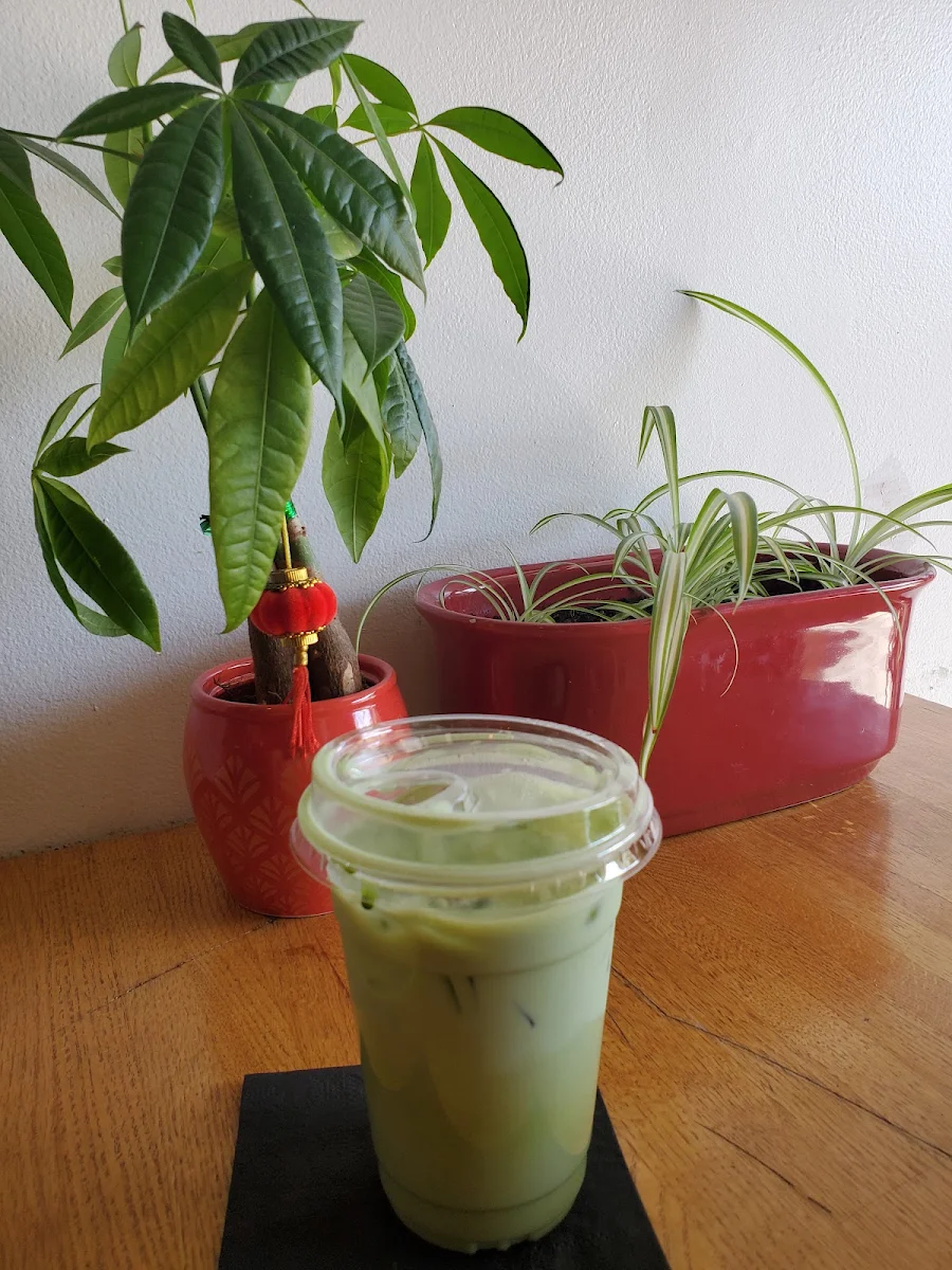 Iced Matcha Latte