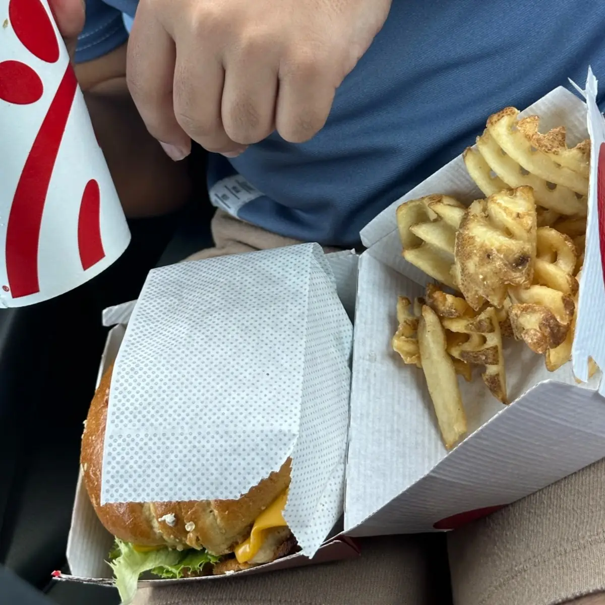 Y Chicken Sandwich