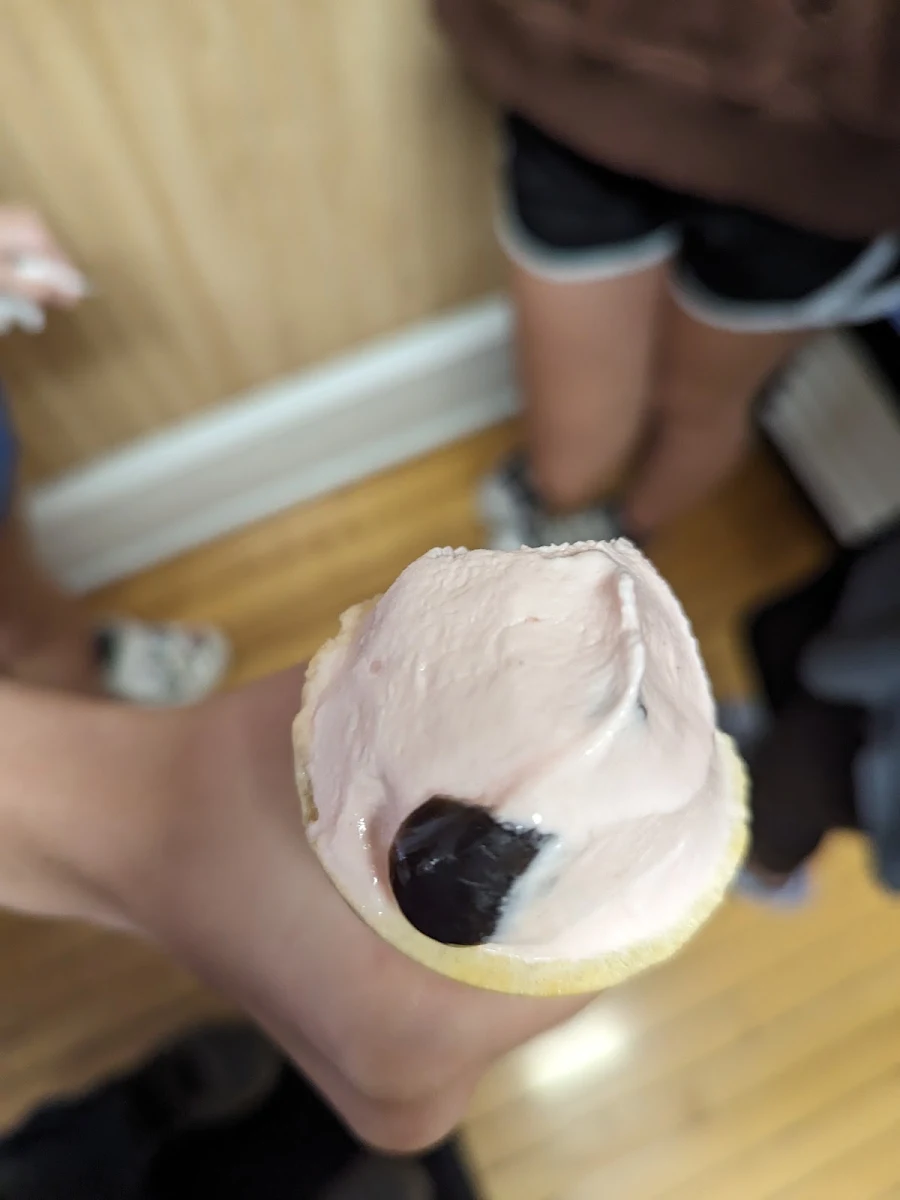 Cherry Chunk Ice Cream Cone