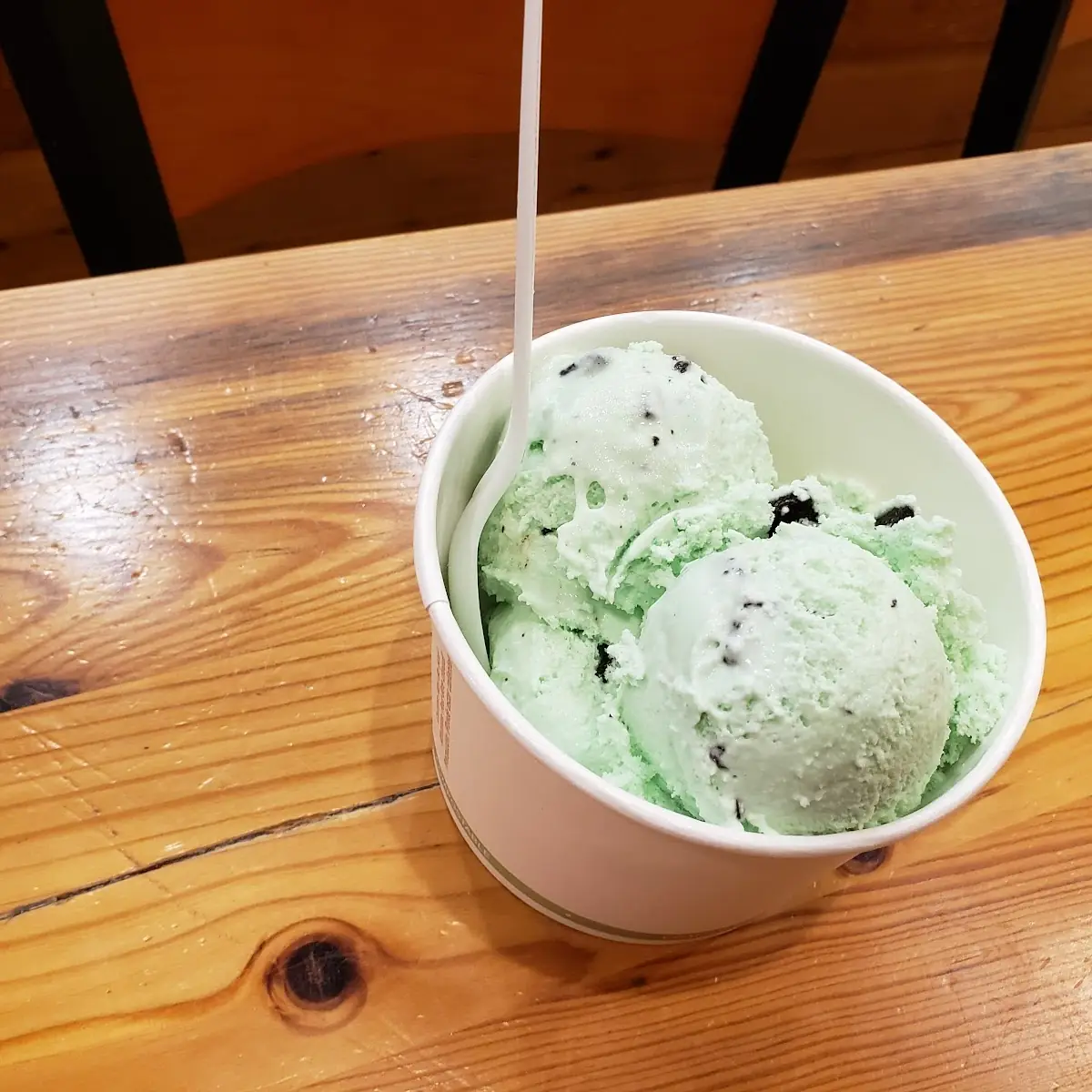 Mint Chocolate Chip with Chocolate