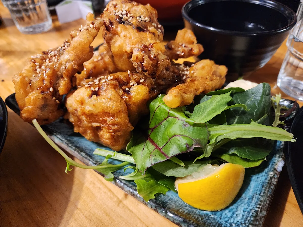 Highlights, New Yamanishi