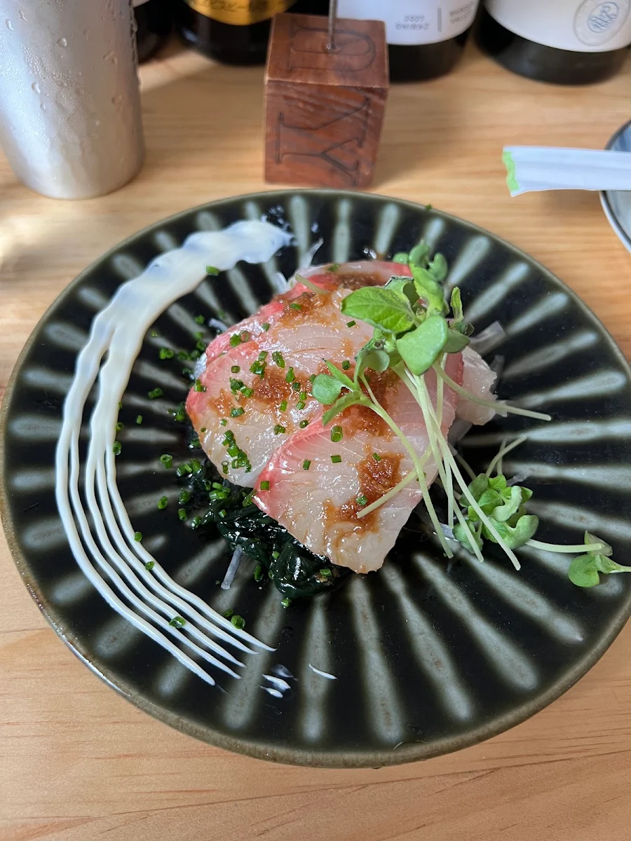 Highlights, New Yamanishi