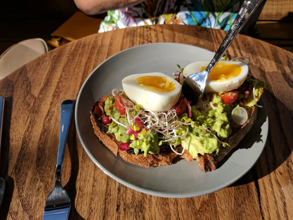Avocado Toast