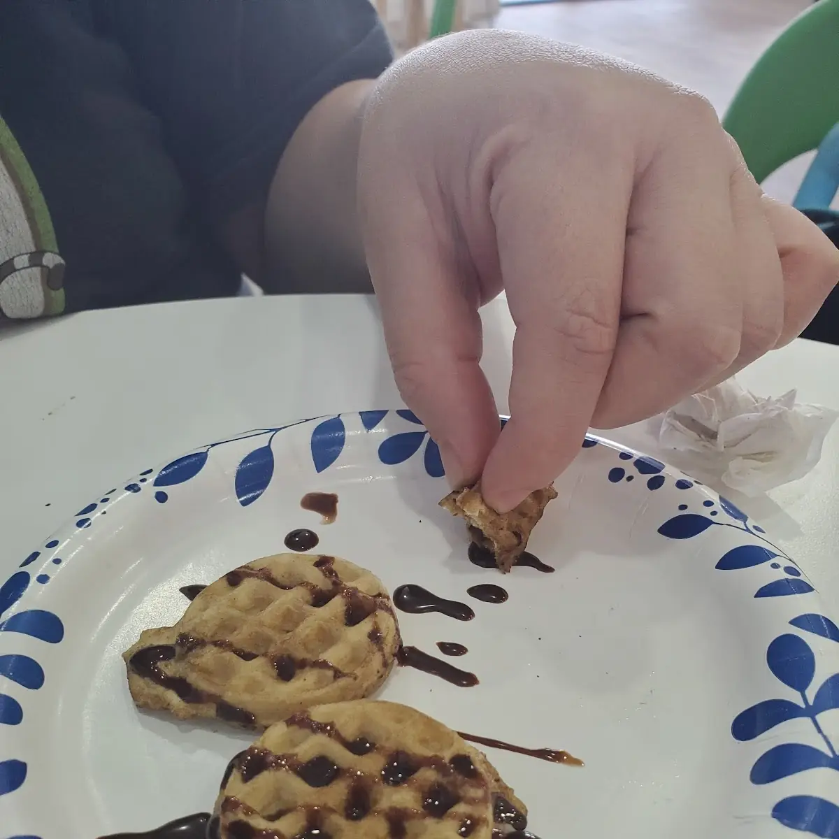 Chocolate Chip