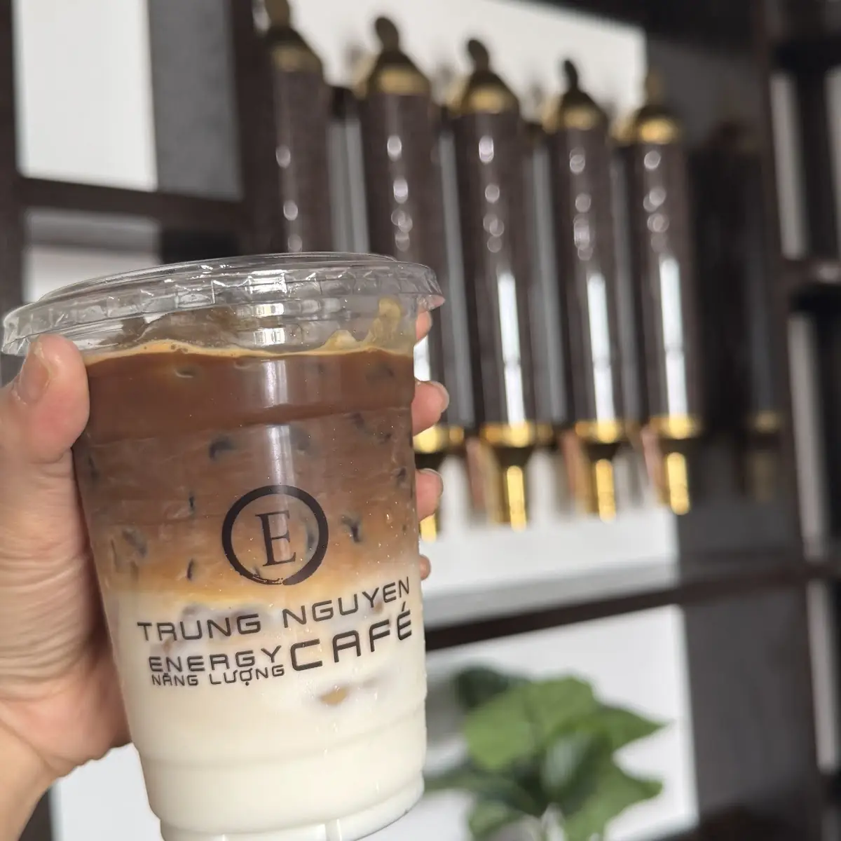 Coco Coconut