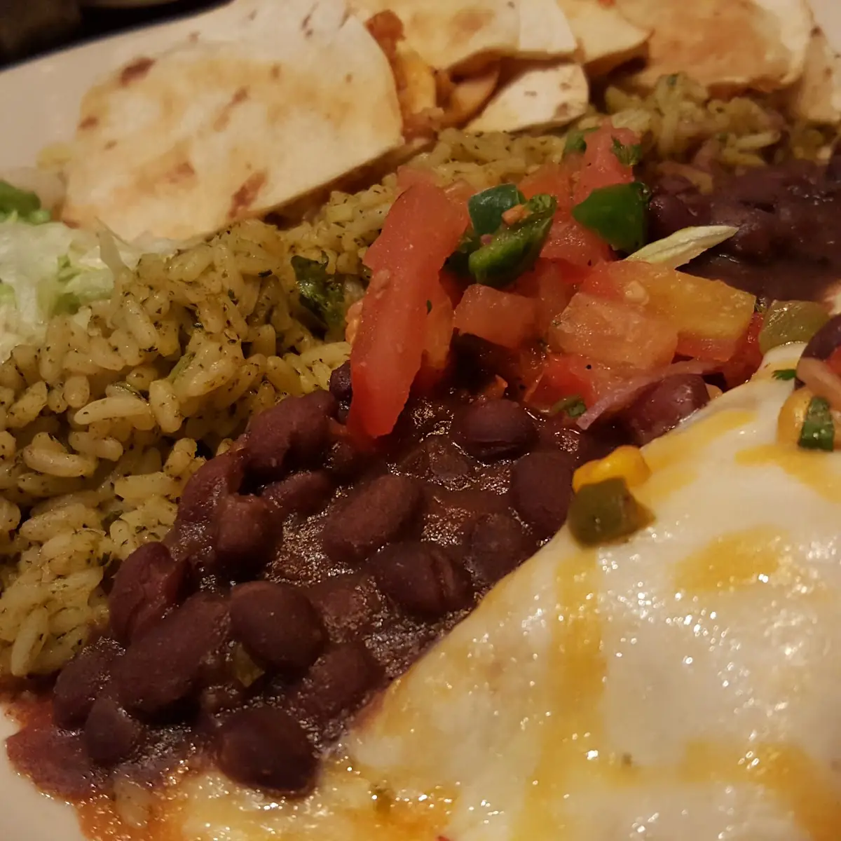Sour Cream Chicken Enchilada and Chicken Quesadilla