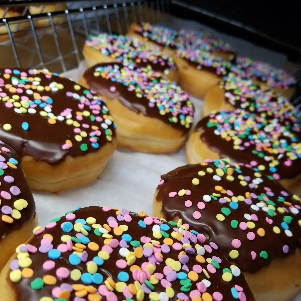 Doughnut