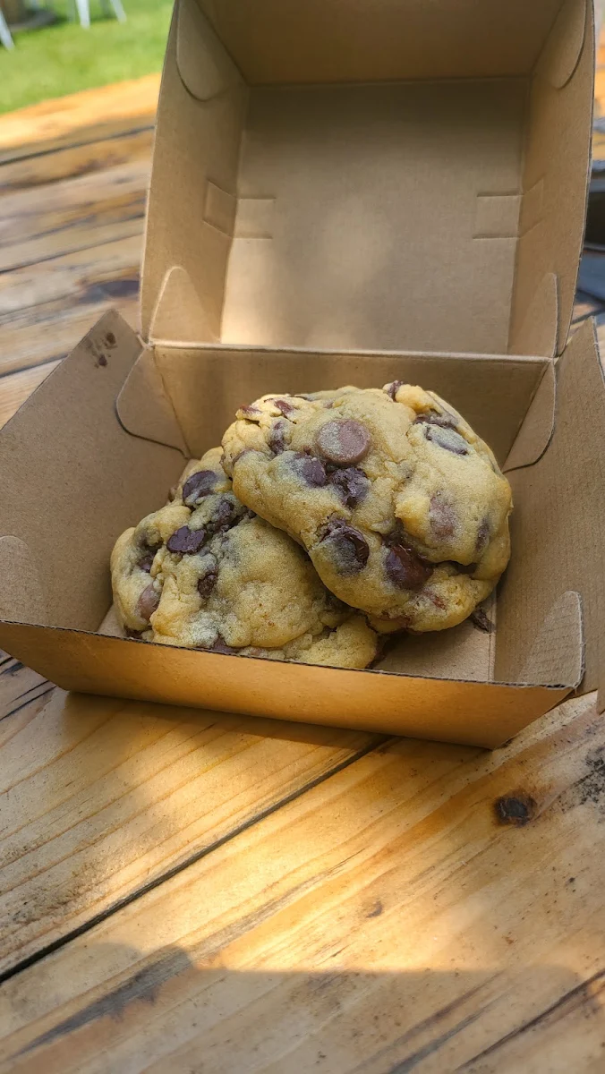 Chocolate Chip Cookie