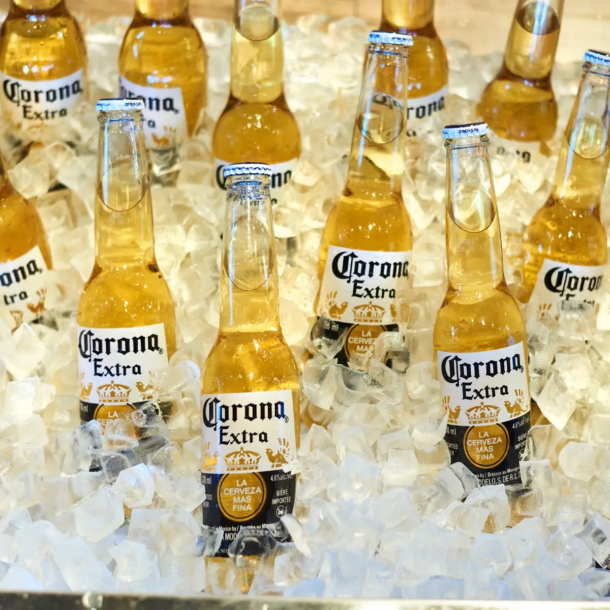 Corona Extra, Lone Star Texas Grill