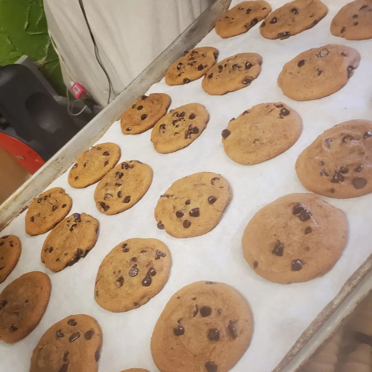 Chocolate Chip Cookie