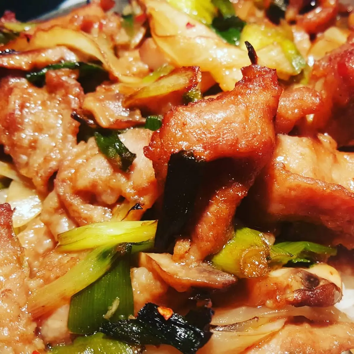 Closeup of Mongolian Beef