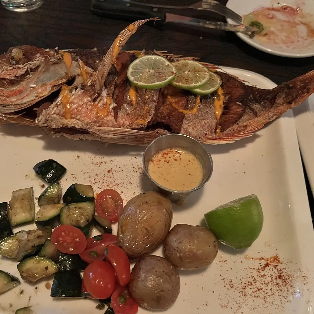 Red Snapper