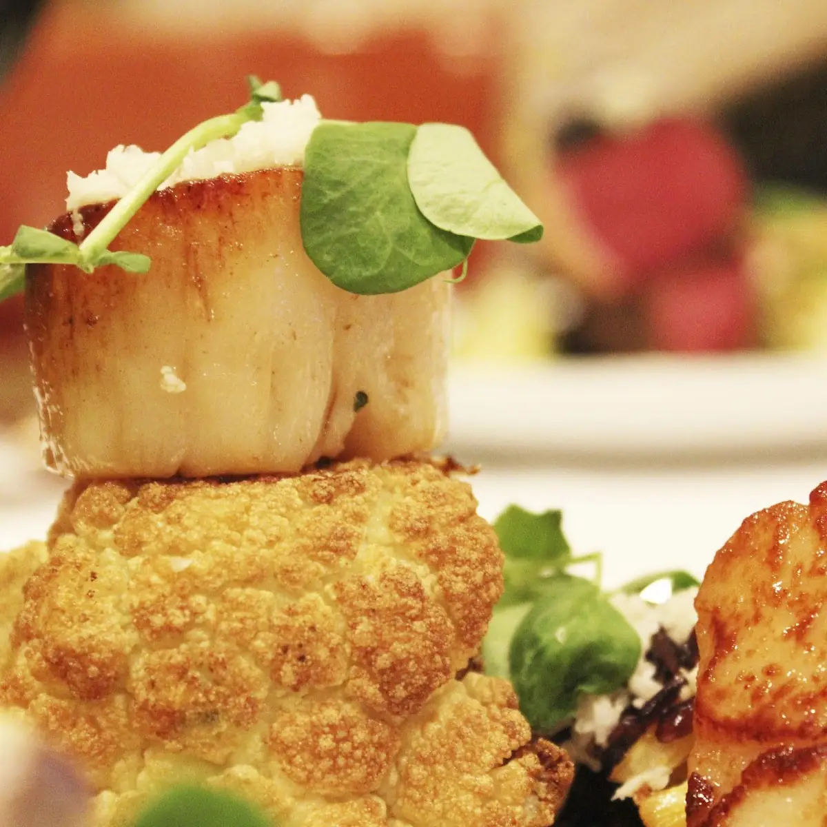 Sea Scallops