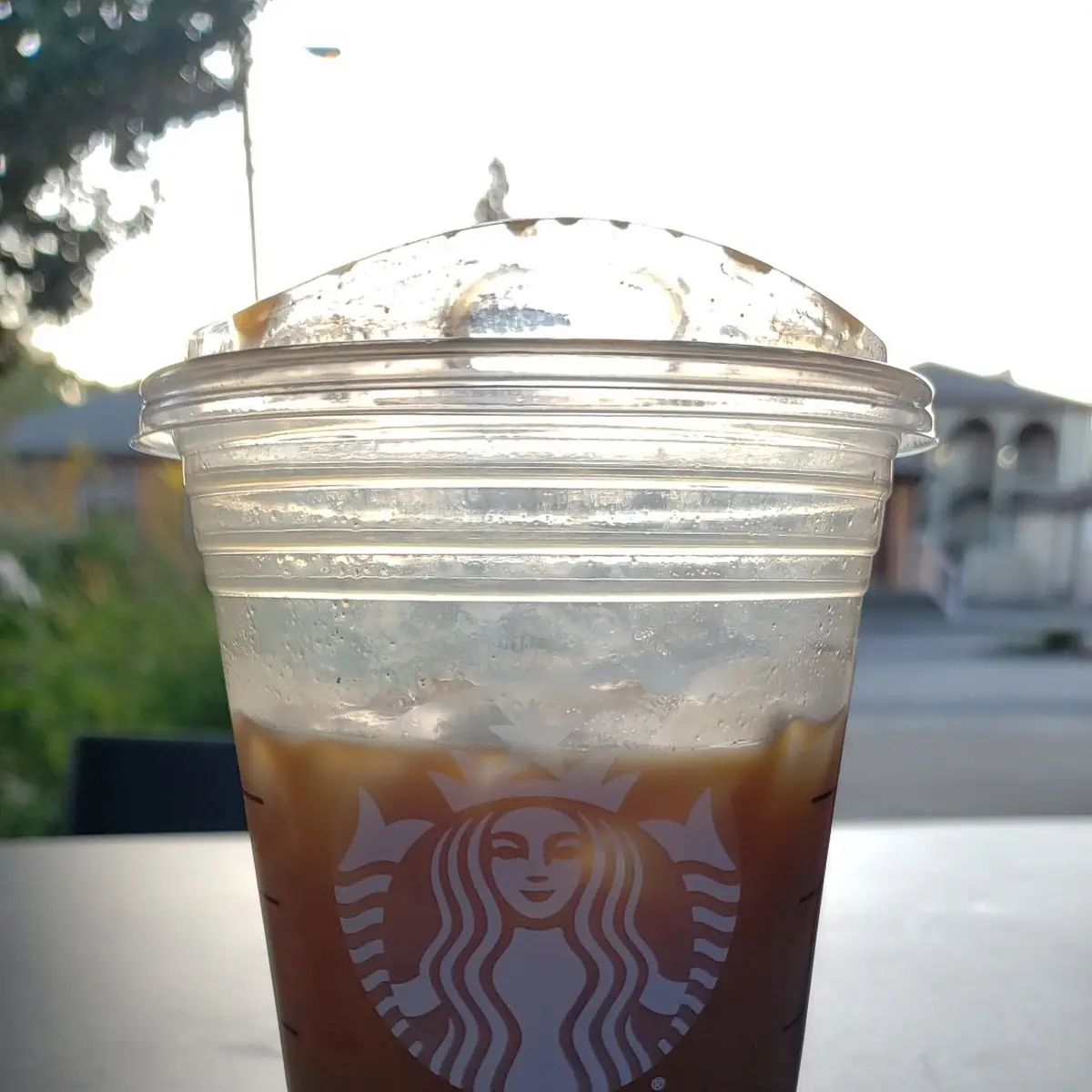 Pumpkin Cream Cold Brew