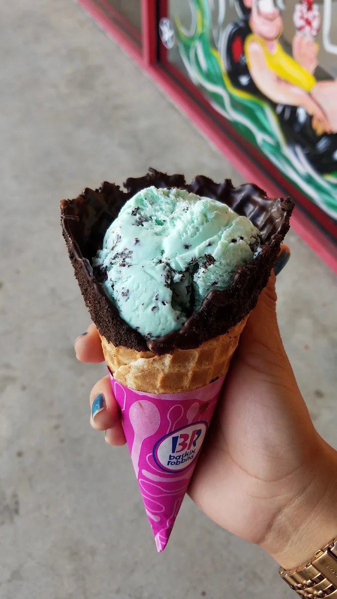 Mint Chocolate Chip Ice Cream Dipped Cone
