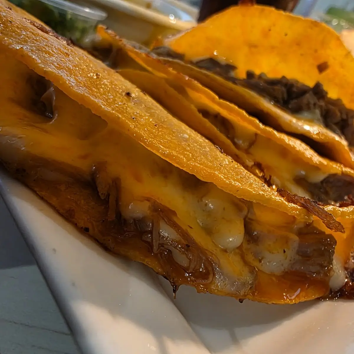 Quesa-Birria Tacos