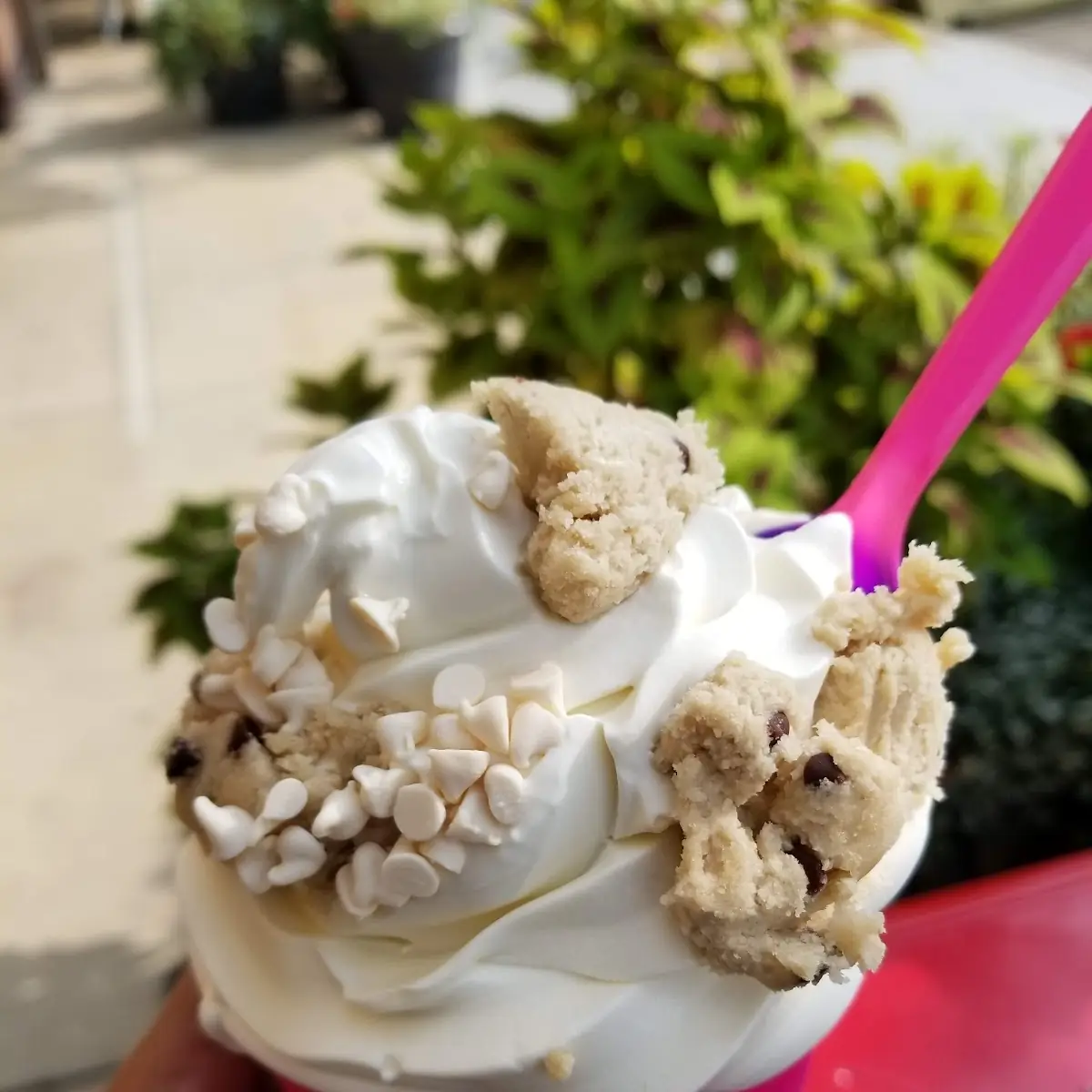Frozen Custard