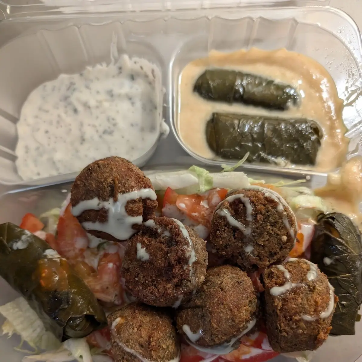 Chicken Hummus Plate