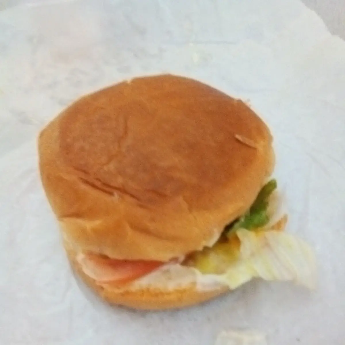 Cheese Burger