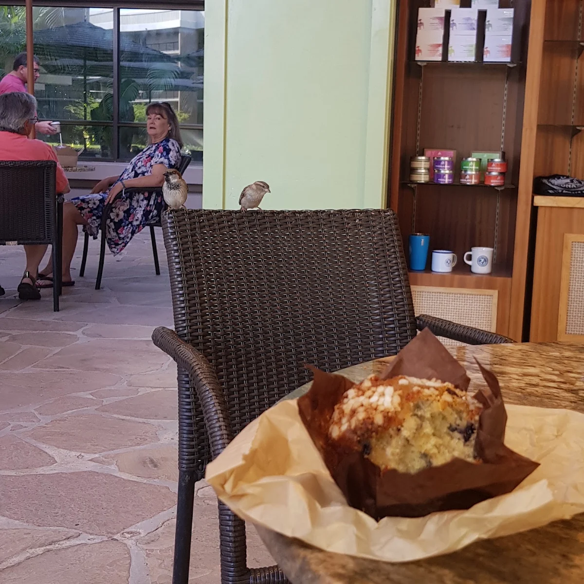Blueberry Muffin