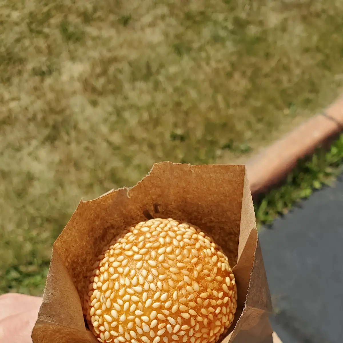 Sesame Ball