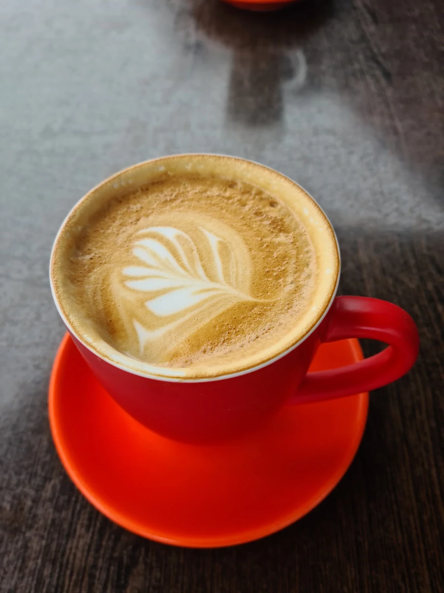 Flat White Coffee, HOTARU Japanese Cafe & Restaurant (19 The Boulevarde)