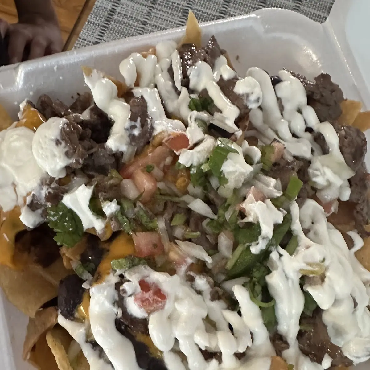 Carne Asada Fries