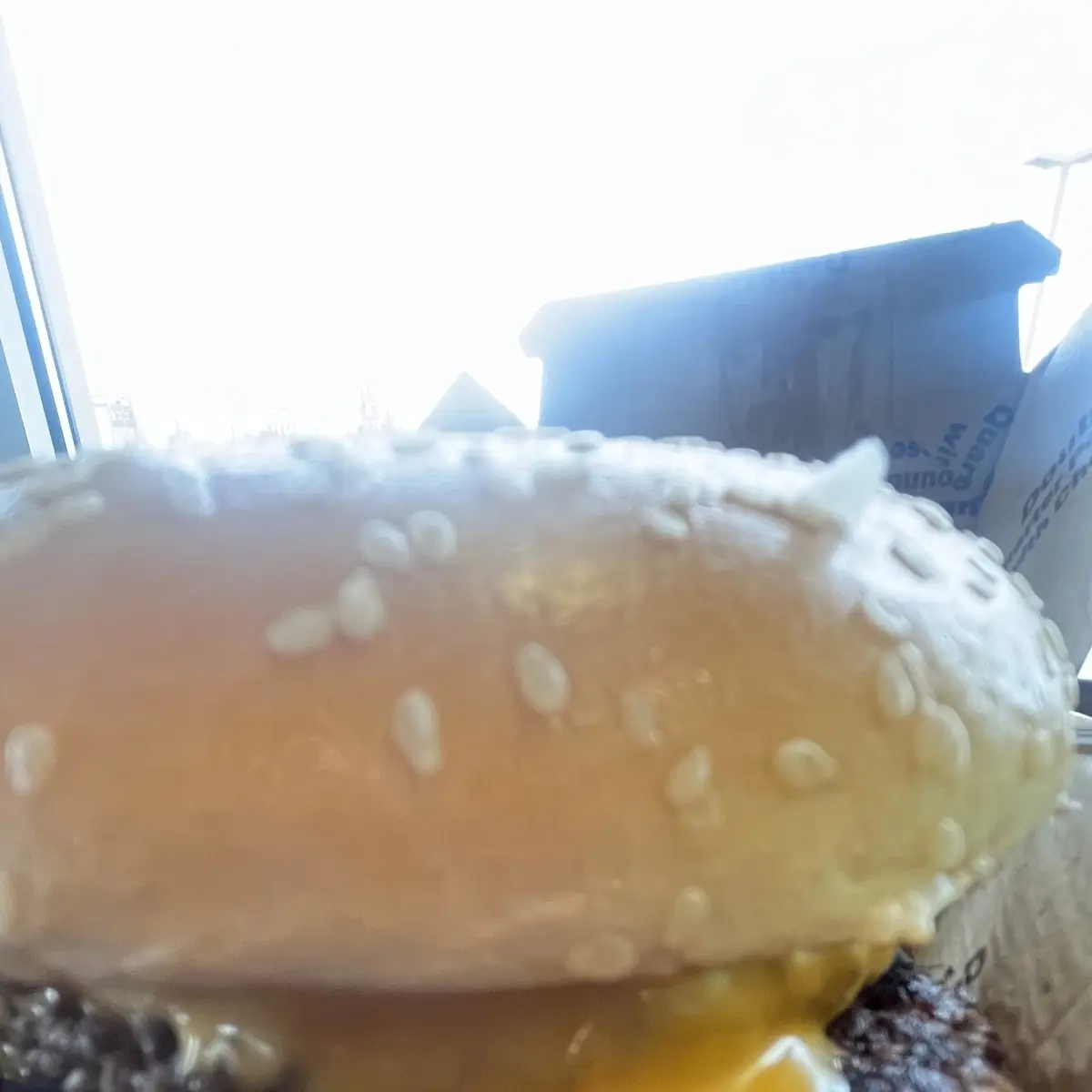Double Quarter Cheese Burger