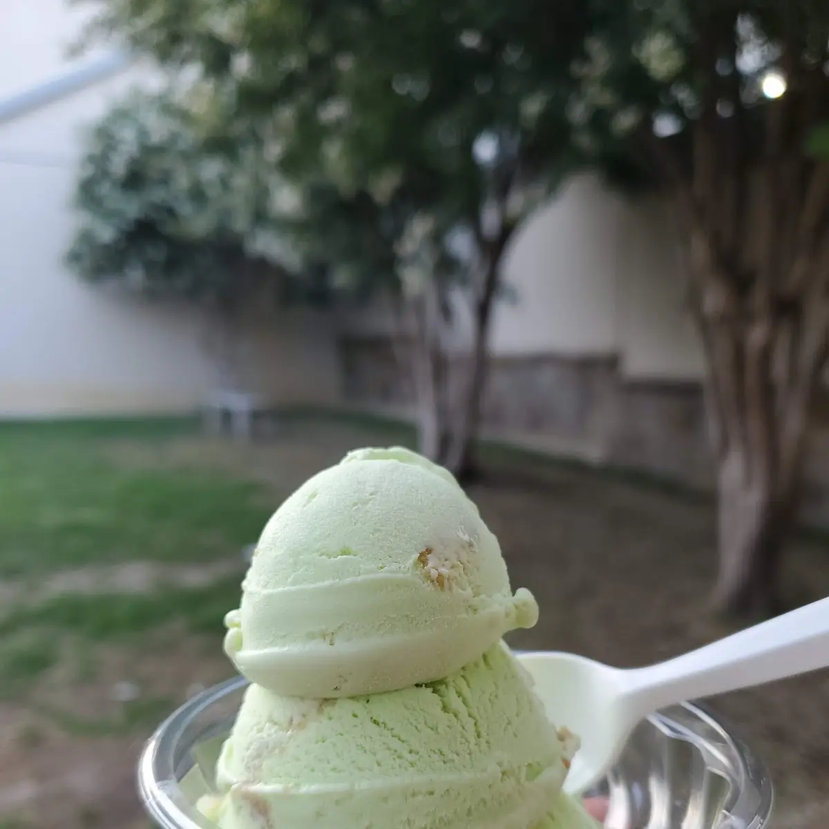 Key Lime Pie