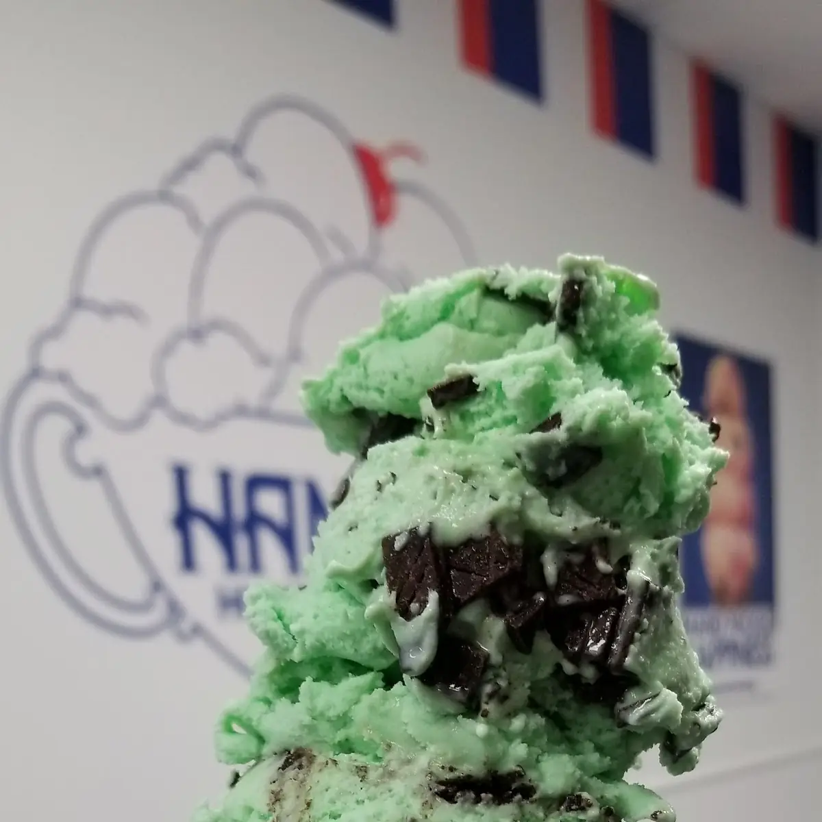 Mint Chocolate Chip