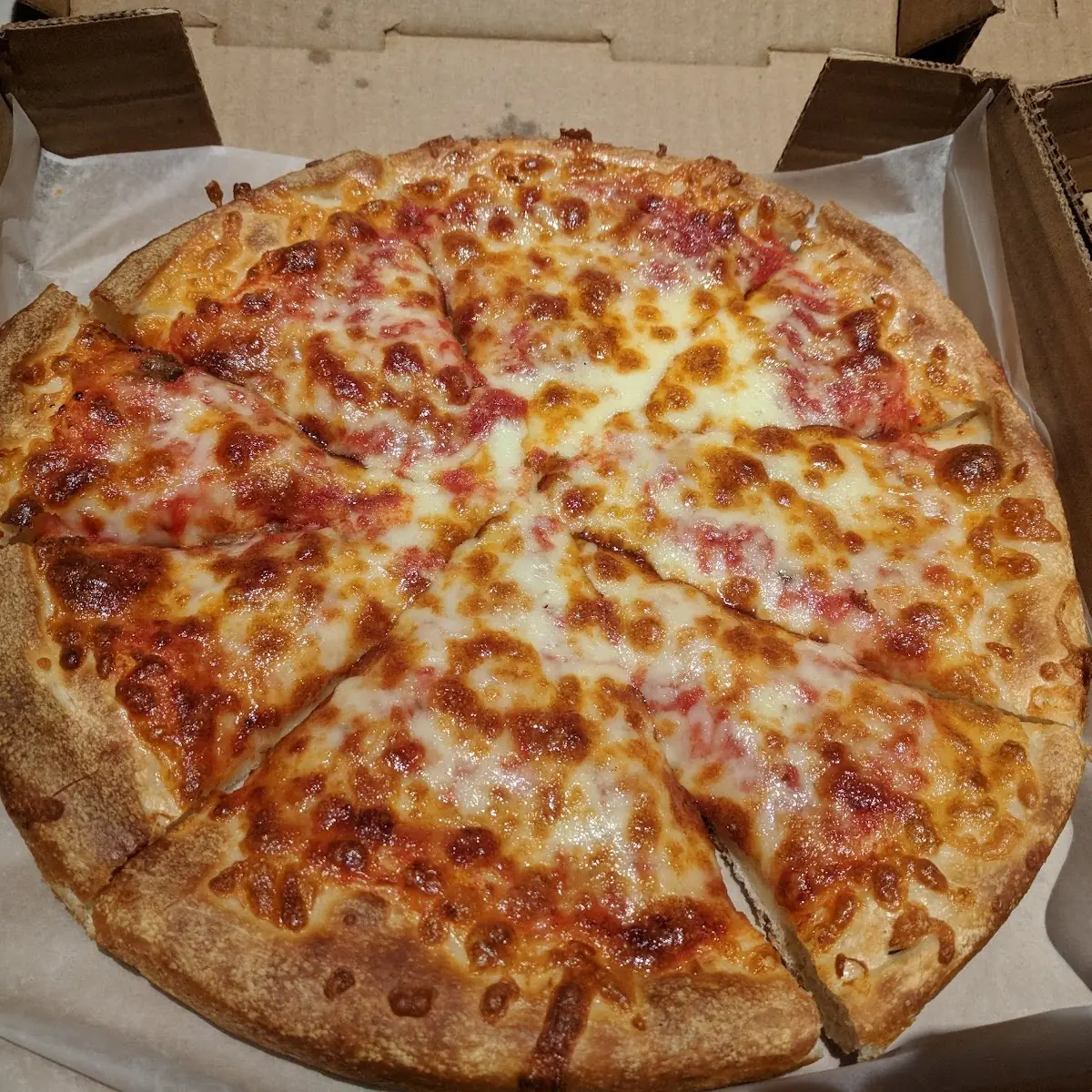 Plain Cheese Pizza