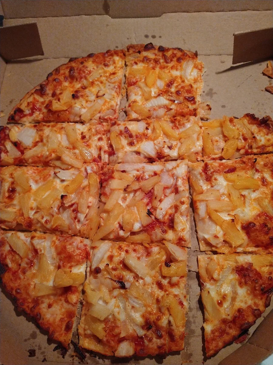 Thin Crust Pineapple and Onion Pizza