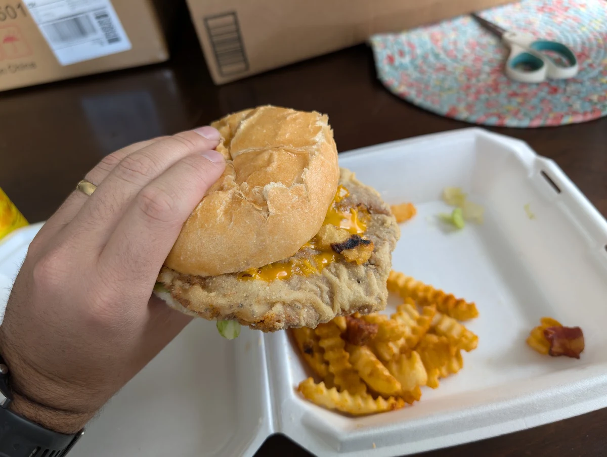 Bavarian Sandwich and Fries