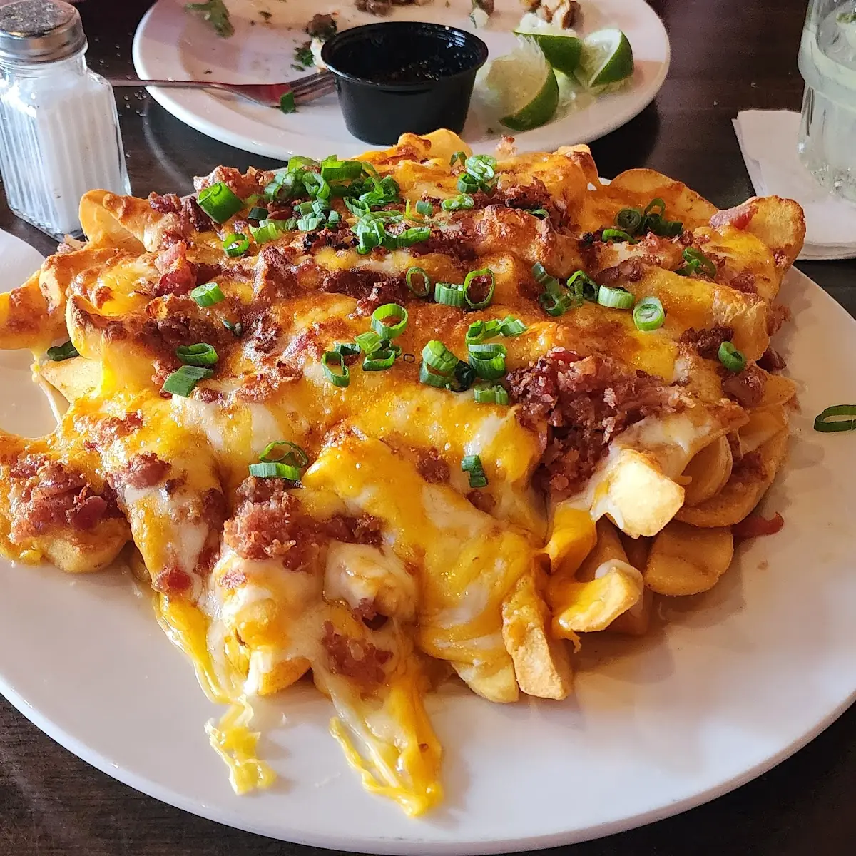 Loaded Fries