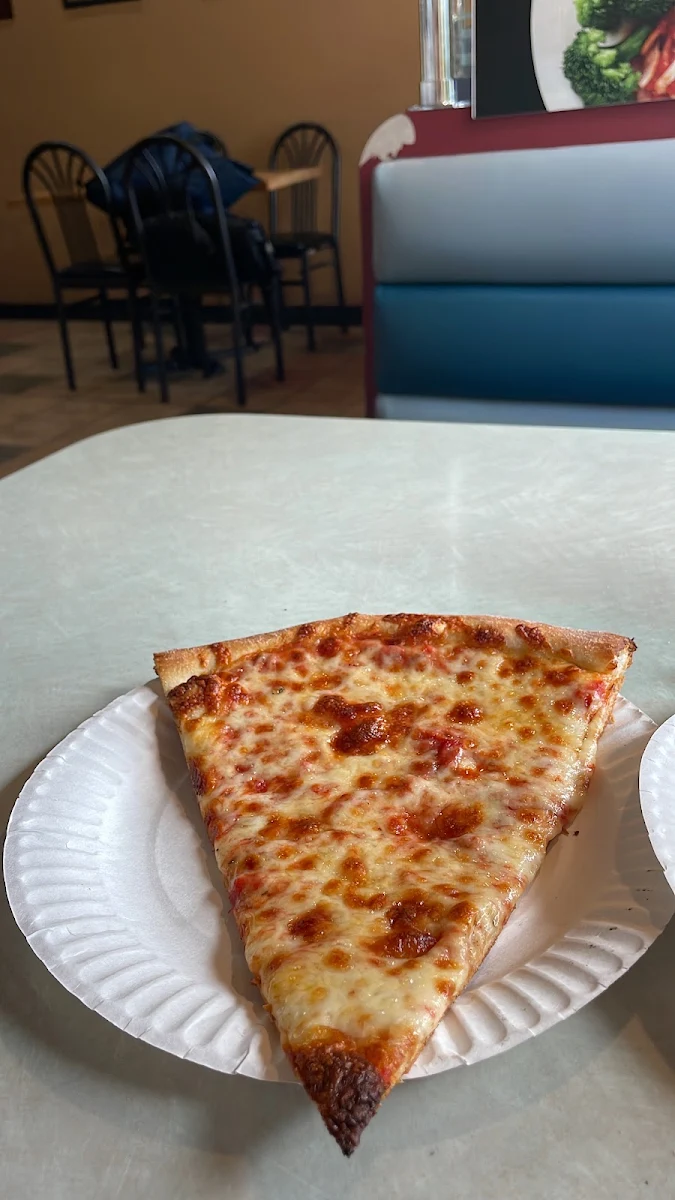 Plain Pizza Slice