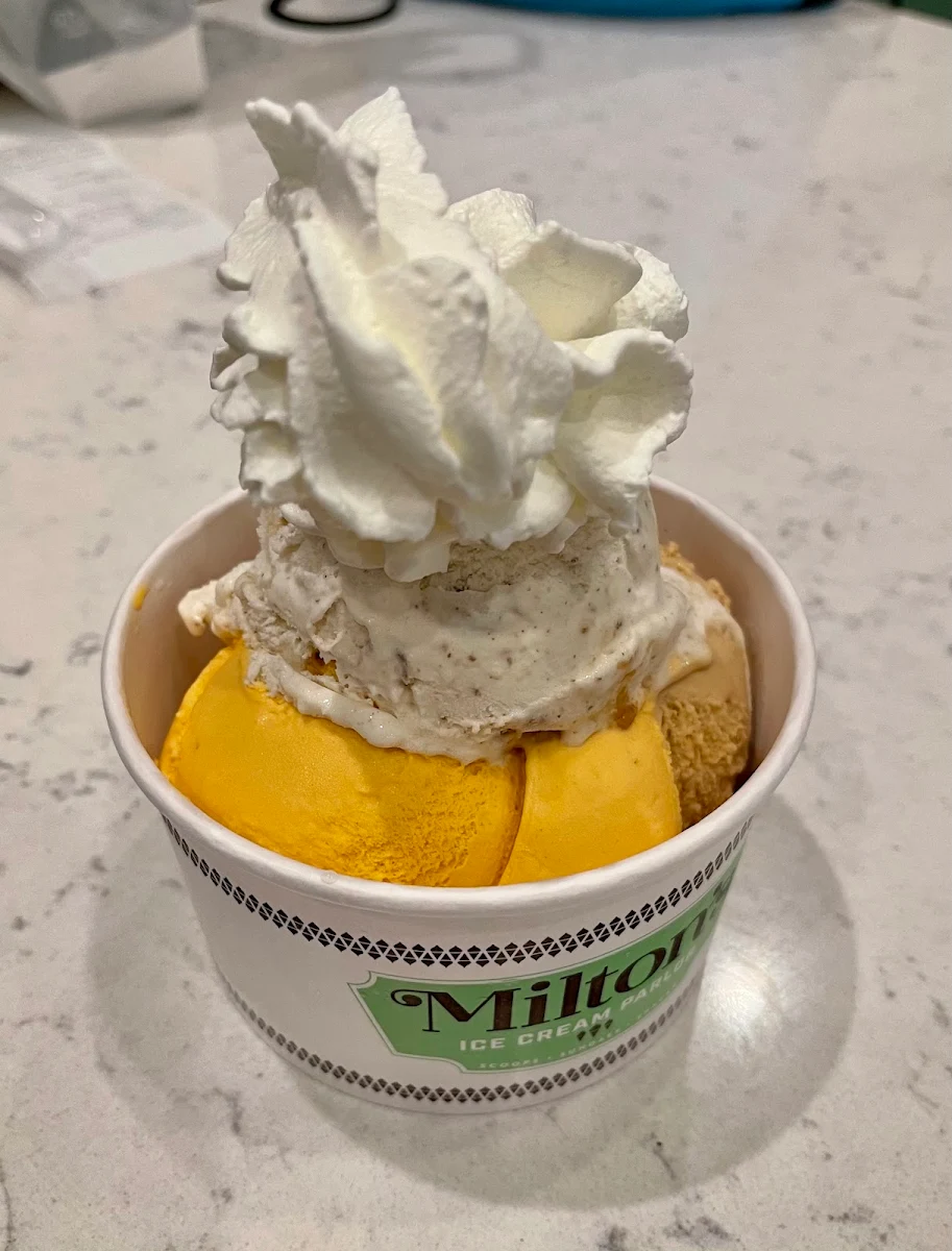 Gelato