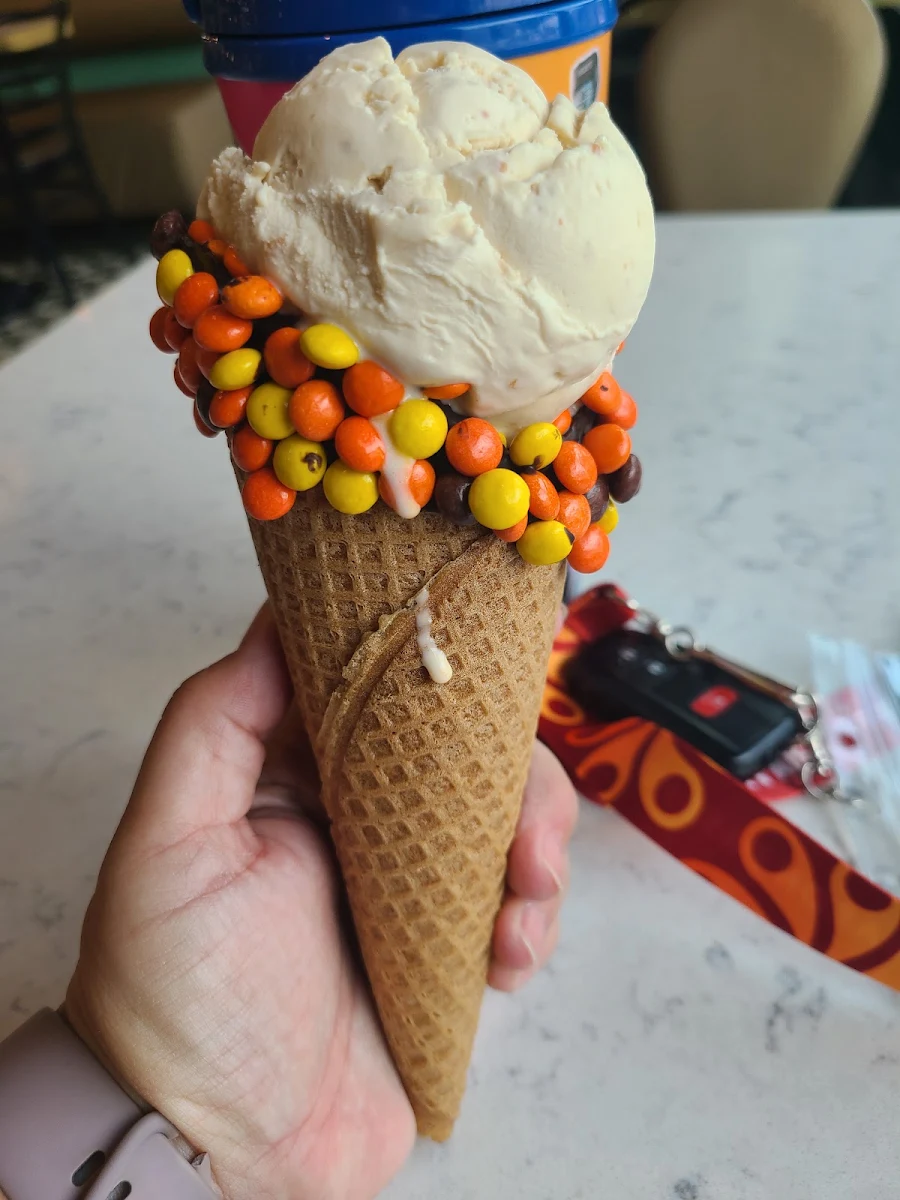 Reese's Peanut Butter Ice Cream