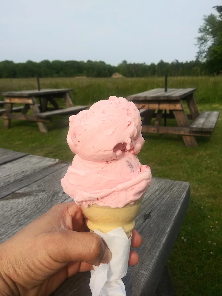 Strawberry Vanilla Ice Cream