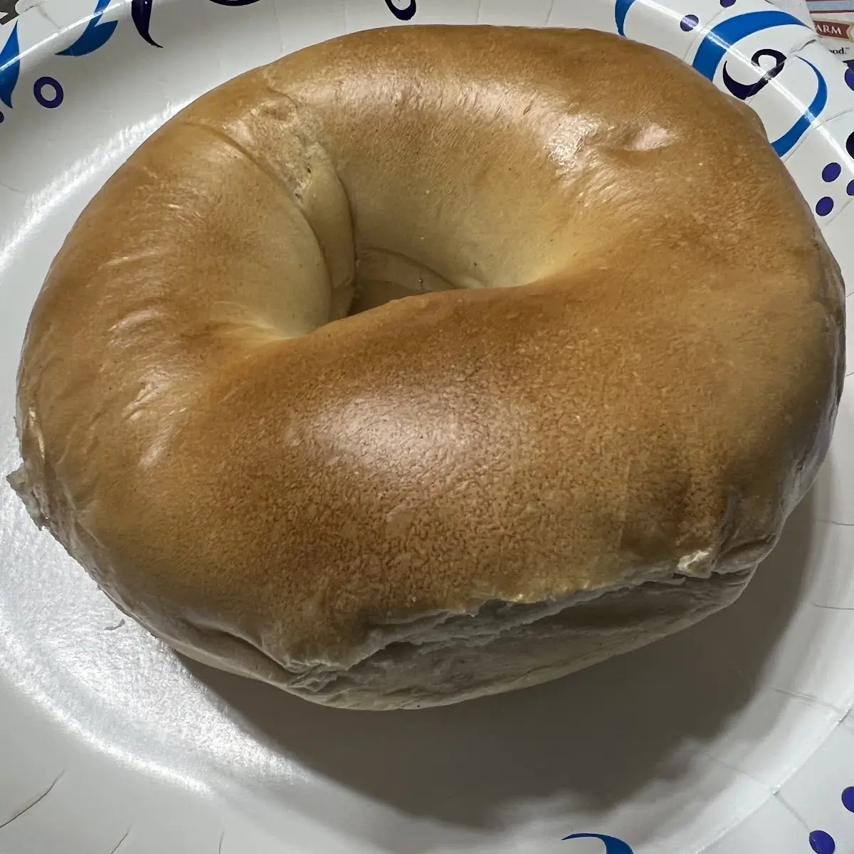 Plain Bagel