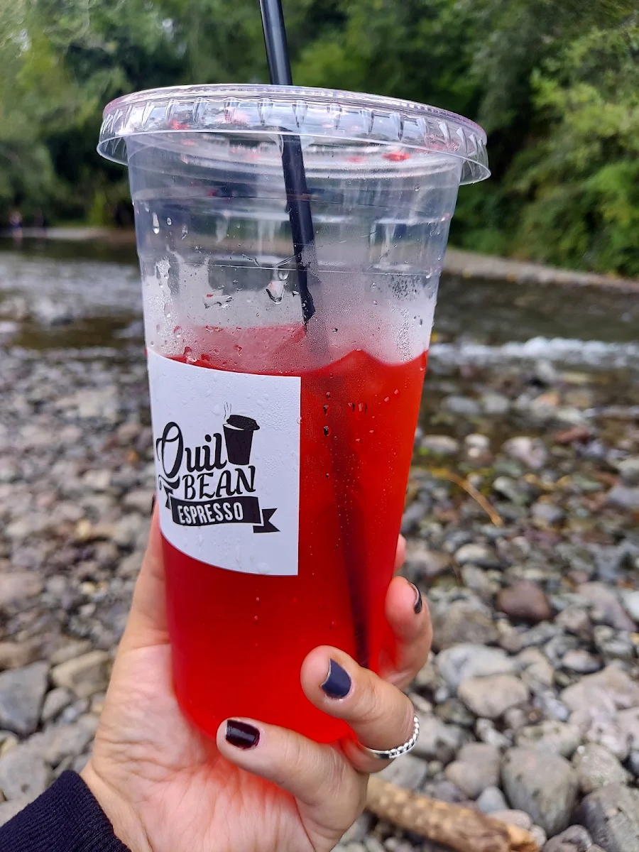 Sugar Free Raspberry Spritzer