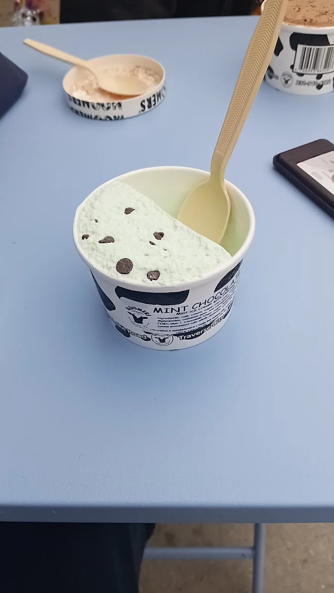 Mint Chocolate Chip Ice Cream