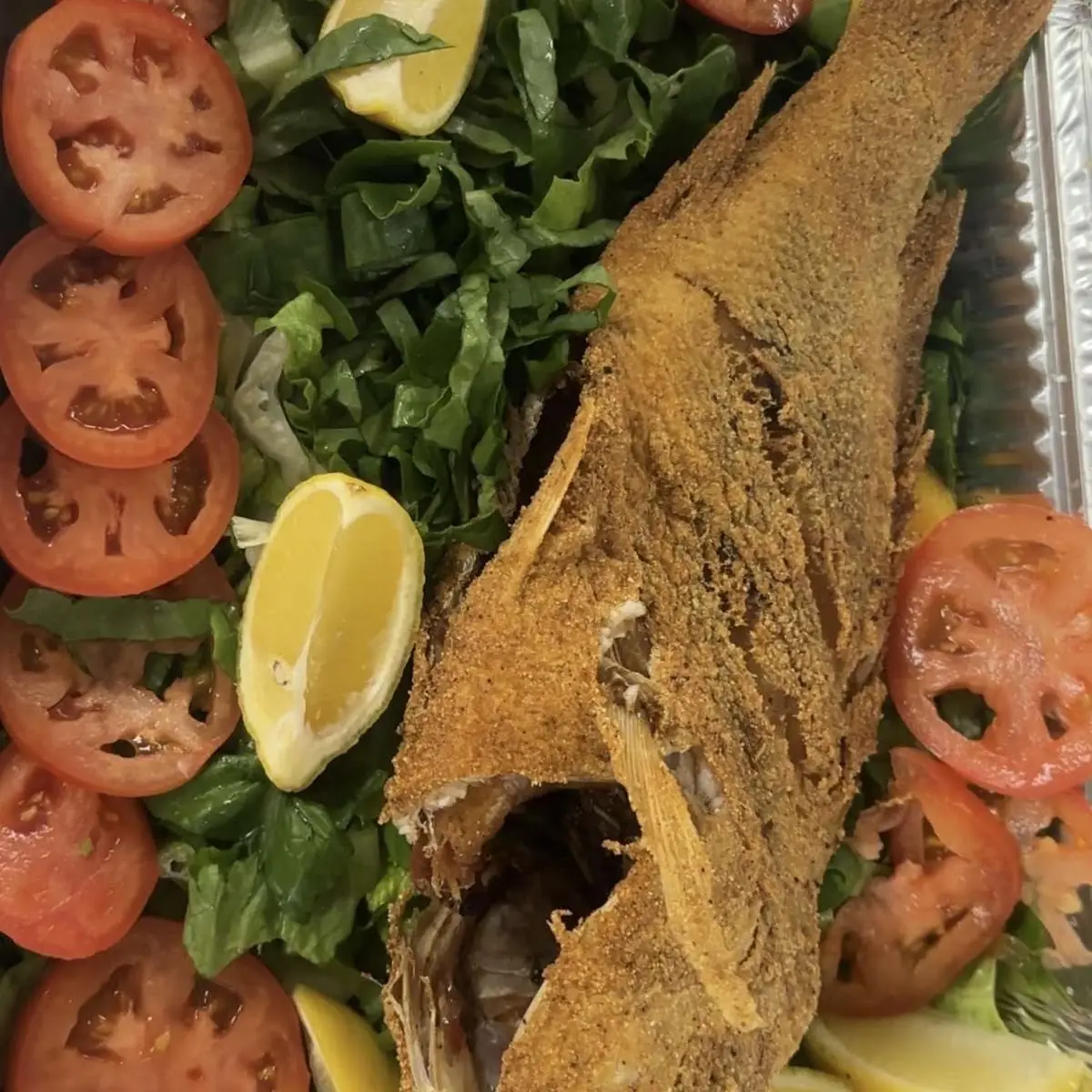 Fish and Gizzard Combo