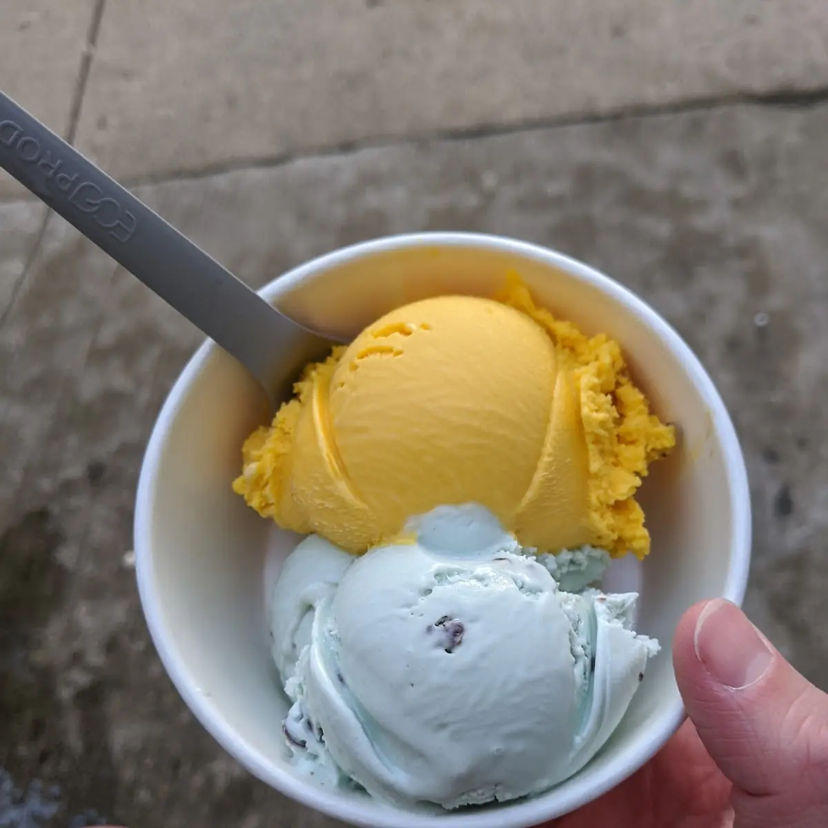 Dairy Free Mango