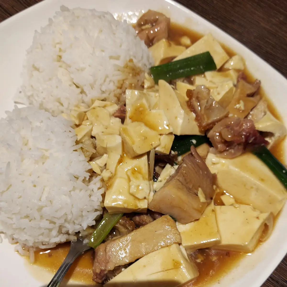 Roast Pork and Tofu